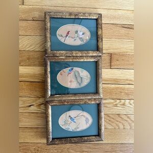 Triple-Frame Wall Art with Colorful Bird Prints